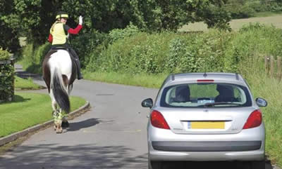 horse on the road hazard